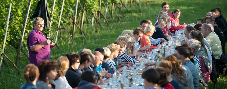 Weinprobe in den Weinbergen an der Hessischen Bergstraße